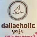 달래홀릭 | 애견 수제간식 : 달래홀릭 크리스마스 에디션 강아지 먹방 후기