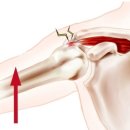 바른몸 퍼스널 트레이닝 이미지
