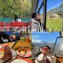 화랑유원지(호수주위 도로쪽) | 유럽 스위스 신혼여행 2편 툰 호수 자전거 대여 / 브리엔츠 유람선 / 인터라켄 폭립 맛집 Brasserie 17...