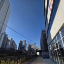 세교마루공인중개사사무소 | 오산 세교2지구 탑동 마루초,마루고 근린상가