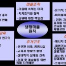 생태마을 이미지