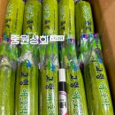 청춘청과 네이버블로그