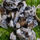 해계머니 이미지