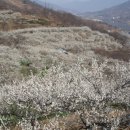 하동 이미지