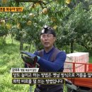 에덴농장 이미지