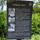 옥류천이야기길(소나무숲길) 이미지