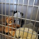 한 동물병원 이미지