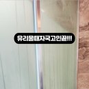 리첸시아 | 유리시트지.리첸시아부천욕실유리에(파티션)시트지시공후기