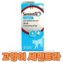 보림당약국 이미지