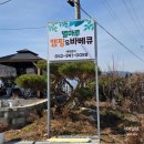 별마루 | 대전근교캠핑장 추천 계룡 별마루 1번방 솔직후기