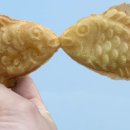 산호동360 이미지