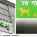 개편한카페 네이버블로그