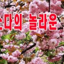 용천약국 이미지