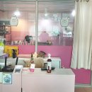 용문 애견 이미지