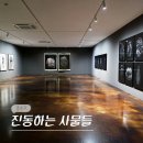 사물 | 서울 북촌 7월 종로 전시회 국제갤러리 사진전 진동하는 사물들 전시 후기 (-7/19)
