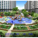 백조농장(1) 이미지