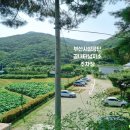 부산시설공단 곰내지소 이미지