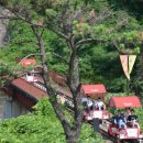 라인댄스(중급반) 이미지