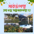 만족했던 제주도 겨울여행 3박 4일 코스 일정, 가볼만한 곳 1탄 (1,2일차 서귀포)