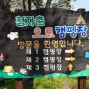 청자촌 2캠핑장 이미지
