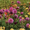 송*성 - 미추홀구 재넘이길51번길 41 | 송*성