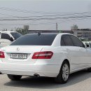 엘레강스최 이미지