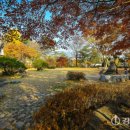 소설 토지의 날 기념 공연 이미지