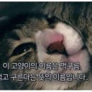 곱창하우스 이미지