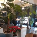 유어로스팅파크 | 연남동 카페 . cafe URP (유어로스팅파크) 방문 후기.