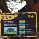 죽성 이미지
