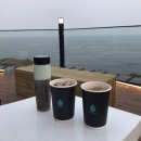 네스트 커피 (Nest Coffee)