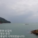 내인생의 봄날 이미지