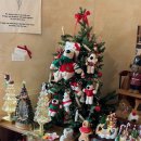 NR-6[경강로]-상-30 | 강원도 여행 | 안목해변 소품샵/ 맛집/ 카페 추천 (라라의 안목, 미트컬쳐, 에이엠브레드앤커피)