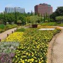 서울숲길 이미지