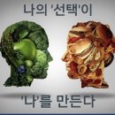 바디리셋 이미지