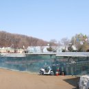 패밀리낚시터 이미지