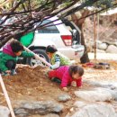 리스캐빈 이미지