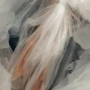 통영한바다 이미지