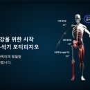 모티비