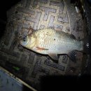 왕숙천 자전거도로8 이미지