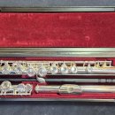 플루트(Ⅱ) 이미지