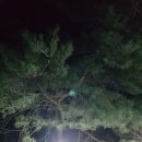 솔미민박 네이버블로그