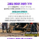 (주)영진레미콘 이미지