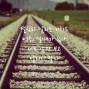 팔월 이미지