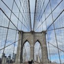 브루클린 이미지