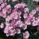 금산펜션 이미지