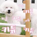 굿모닝 이미지