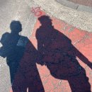 동광양농협 버스정류장 | 3월 제주도 3박4일 뚜벅이 모녀여행 동쪽 3일차 - 구좌/월정리코스