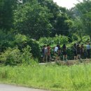 팔공산녹색길 숲길 2코스 이미지