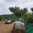 임하면보건지소 이미지